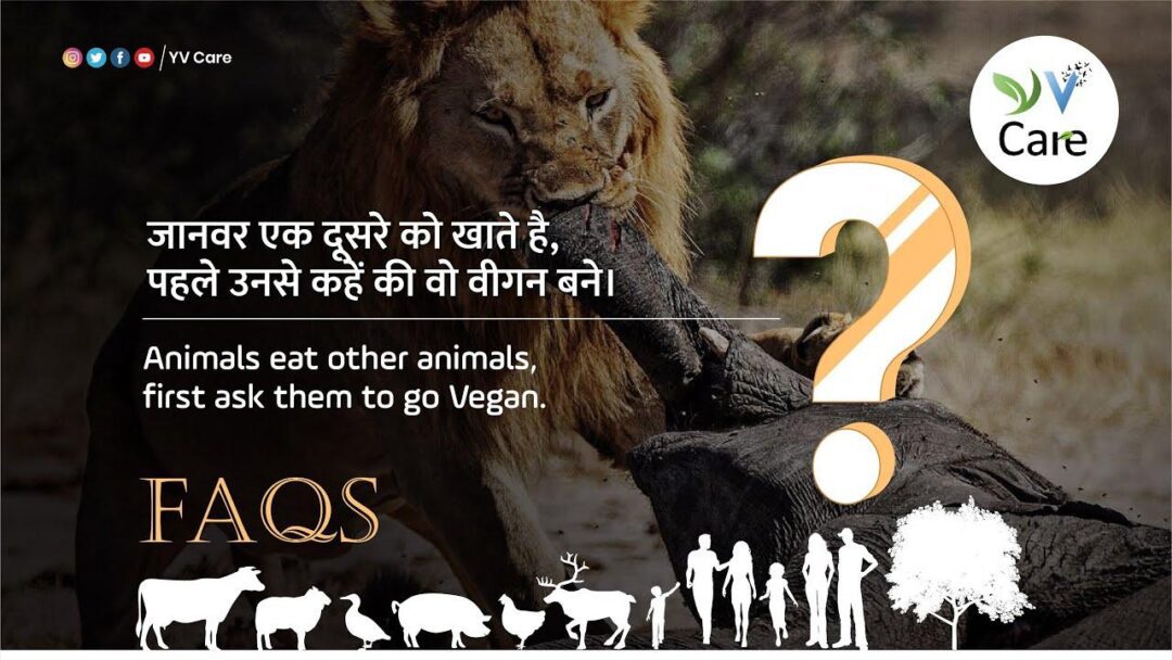 जानवर एक दूसरे को खाते है,पहले उनसे कहें की वो वीगन बने | Vegan Hindi India