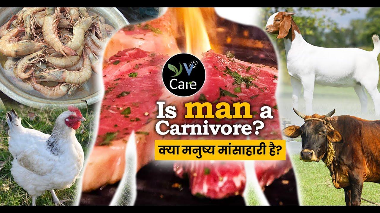 क्या मनुष्य मांसाहारी है? | Is Man A Carnivore ? | YV Care| Vegan Hindi India