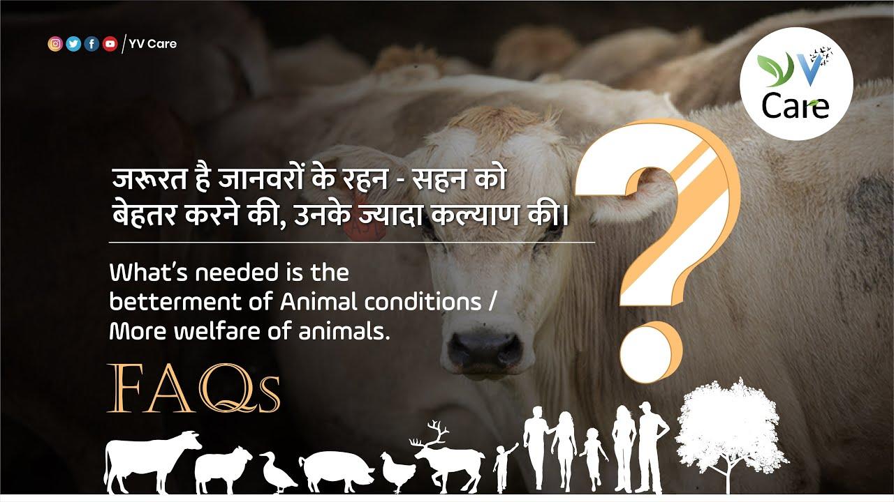 जरूरत है जानवरों के रहन - सहन को बेहतर करने की, उनके ज्यादा कल्याण की | Vegan FAQ Hindi India